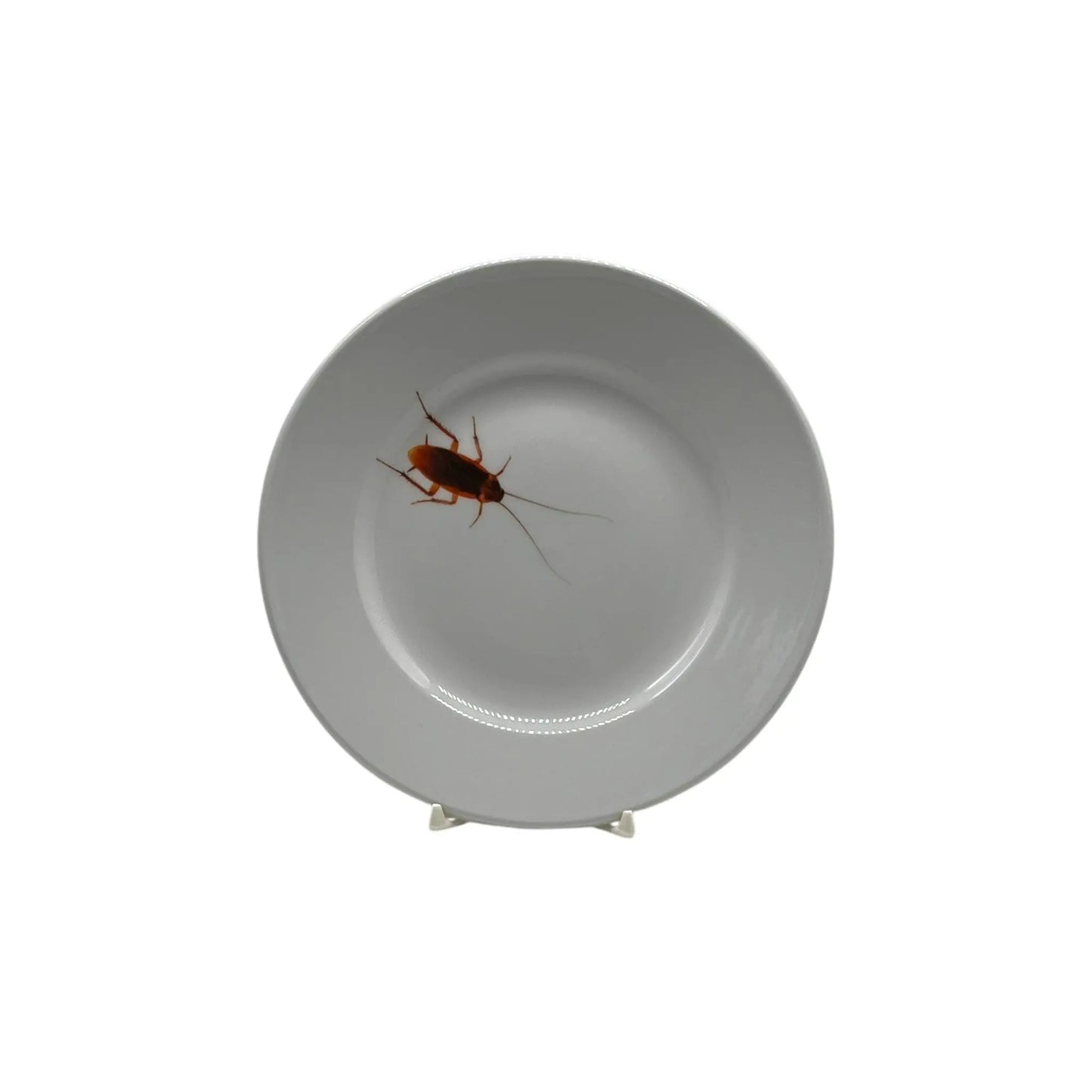 Roach Plate, 6 1/4" JD & Company