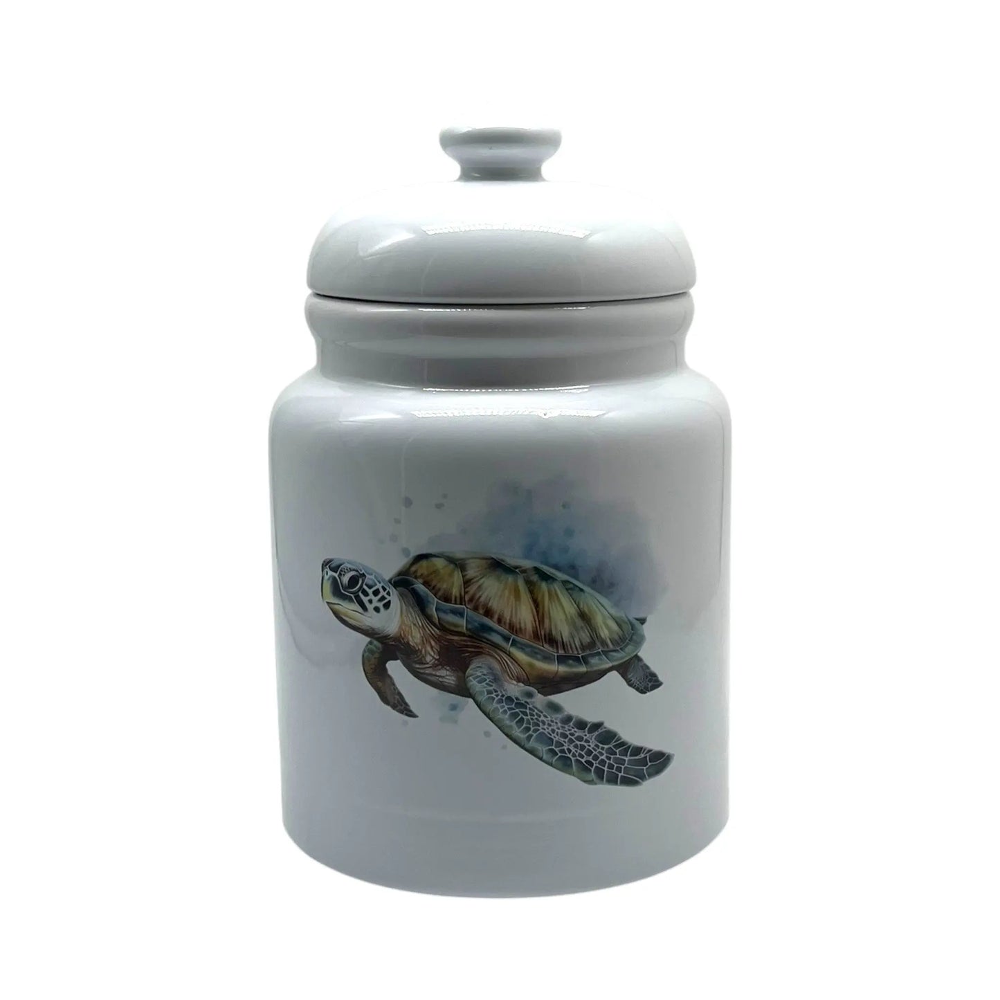 Sea Turtle Cookie Jar Jane & Lizzee