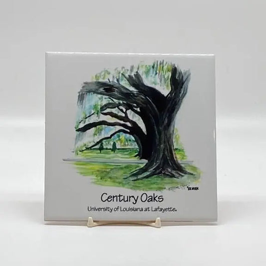 Rooted in Tradition: The Century Oaks at UL Lafayette