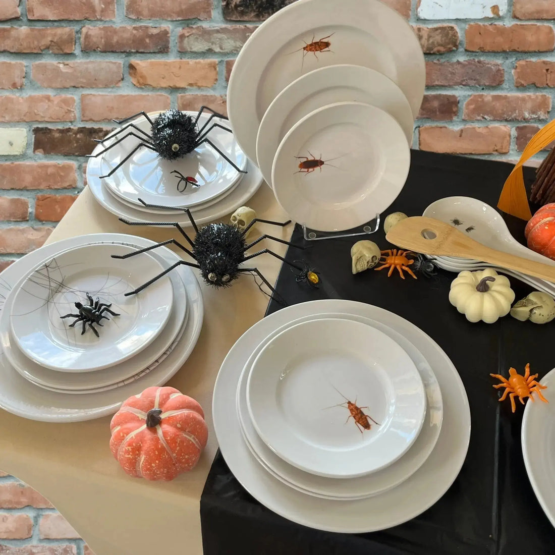 Bug Them Dishes: Celebrate Insect Week 2026 with Our Fly and Roach Dinnerware Jane & Lizzee