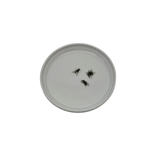 Fly Anything Dish, 5" JD & Company