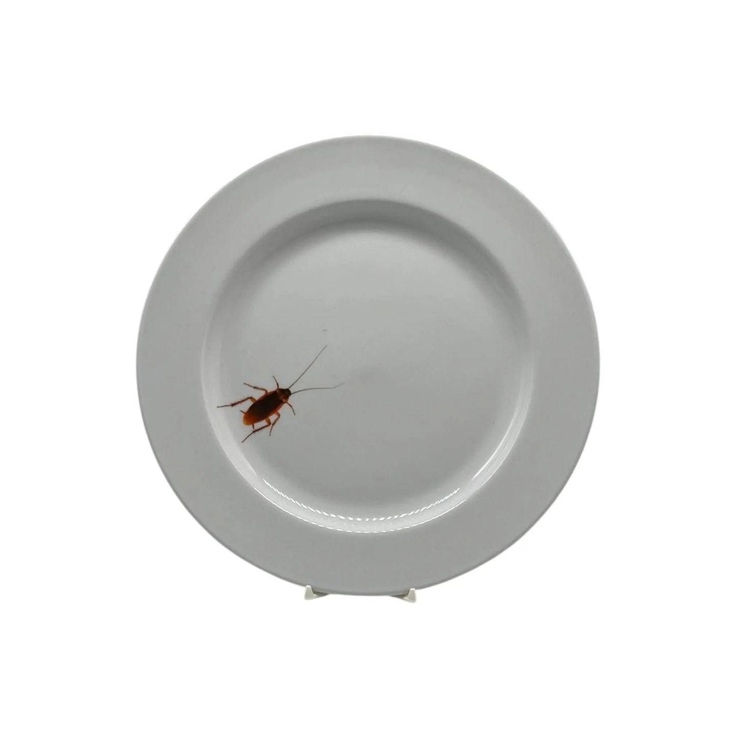 Roach Plate, 10 1/2" JD & Company