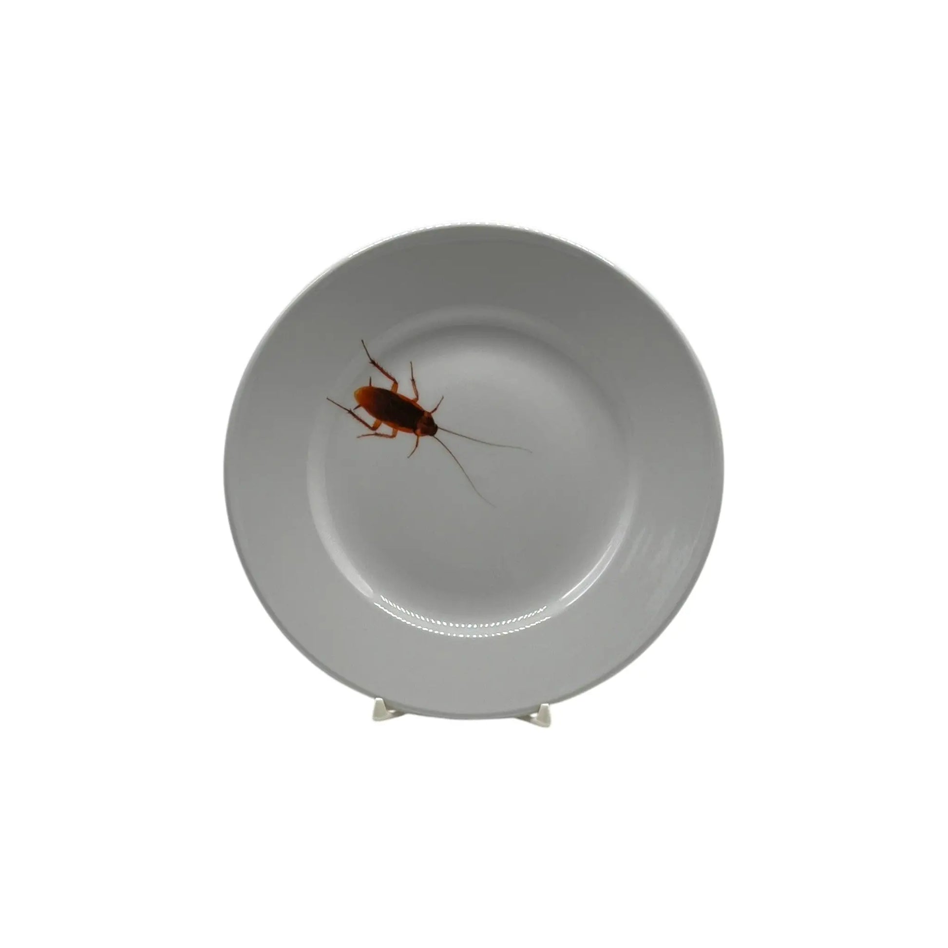 Roach Plate, 6 1/4" JD & Company