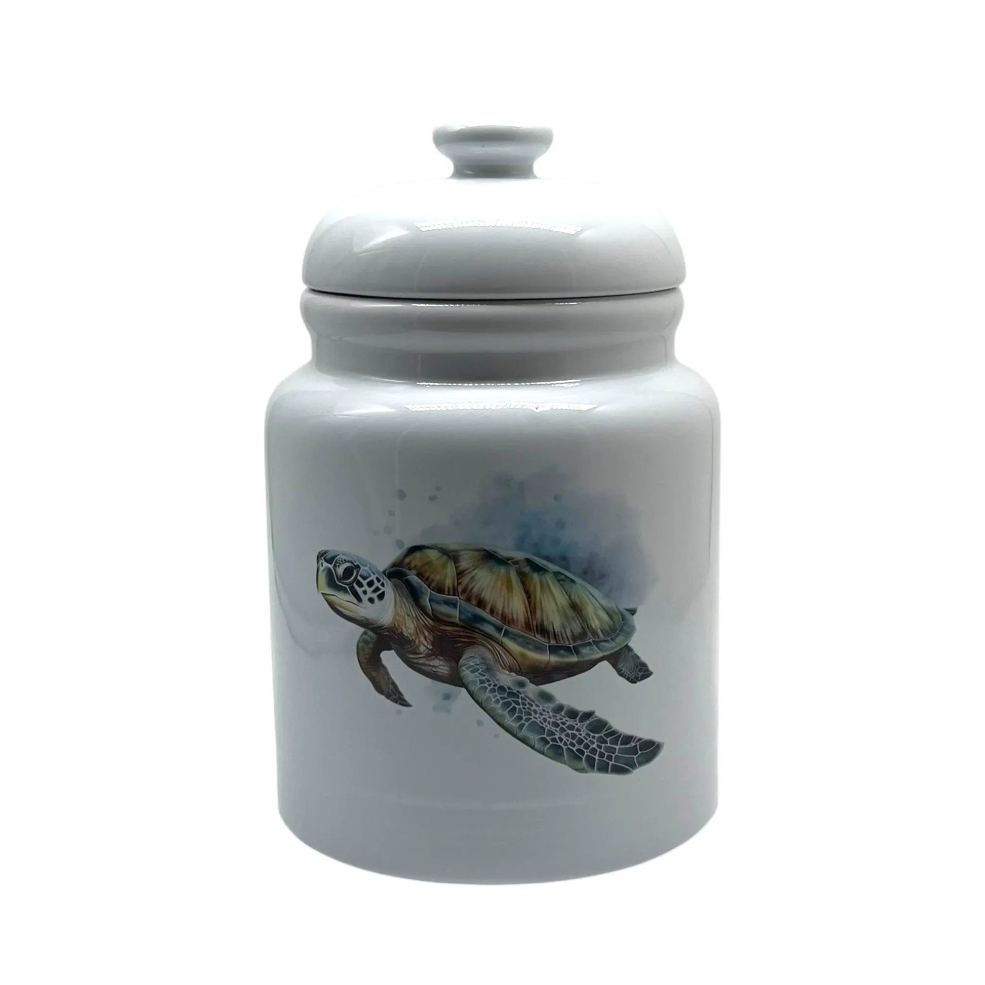 Sea Turtle Cookie Jar Jane & Lizzee