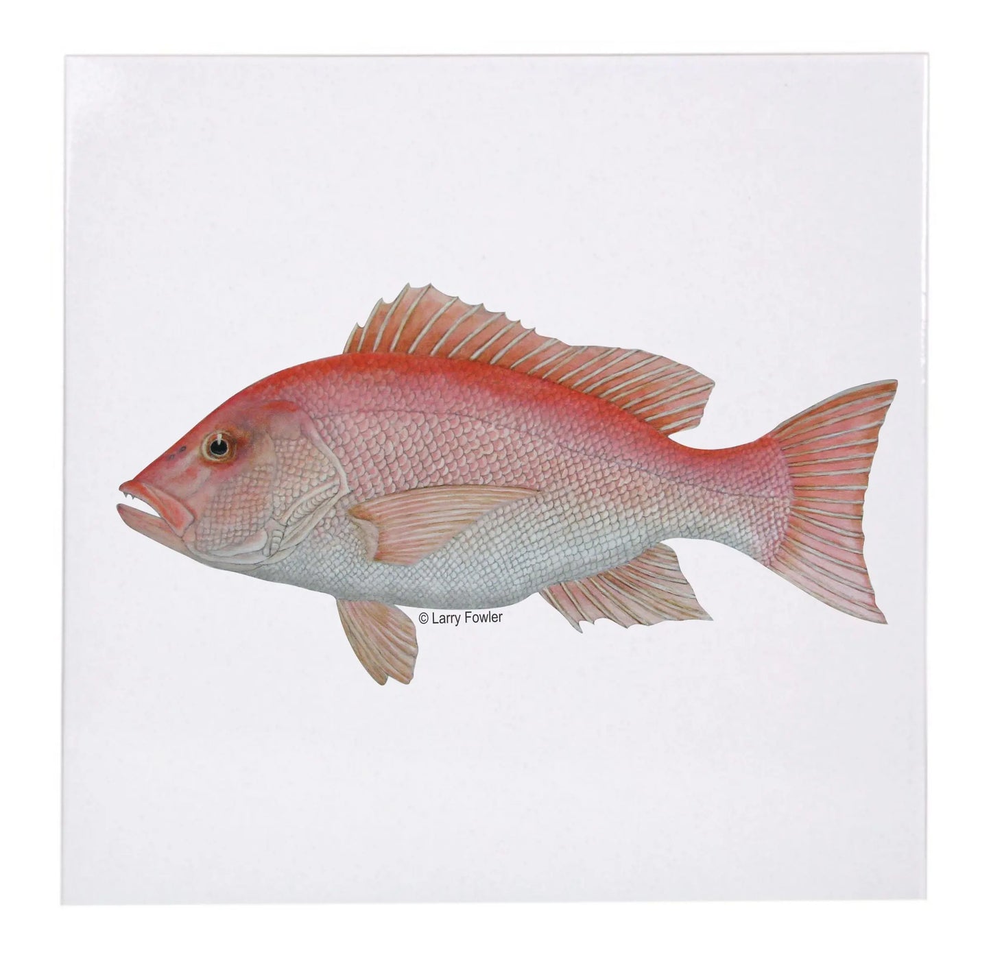 Sport Fish Trivet, 6" Faust Heirlooms