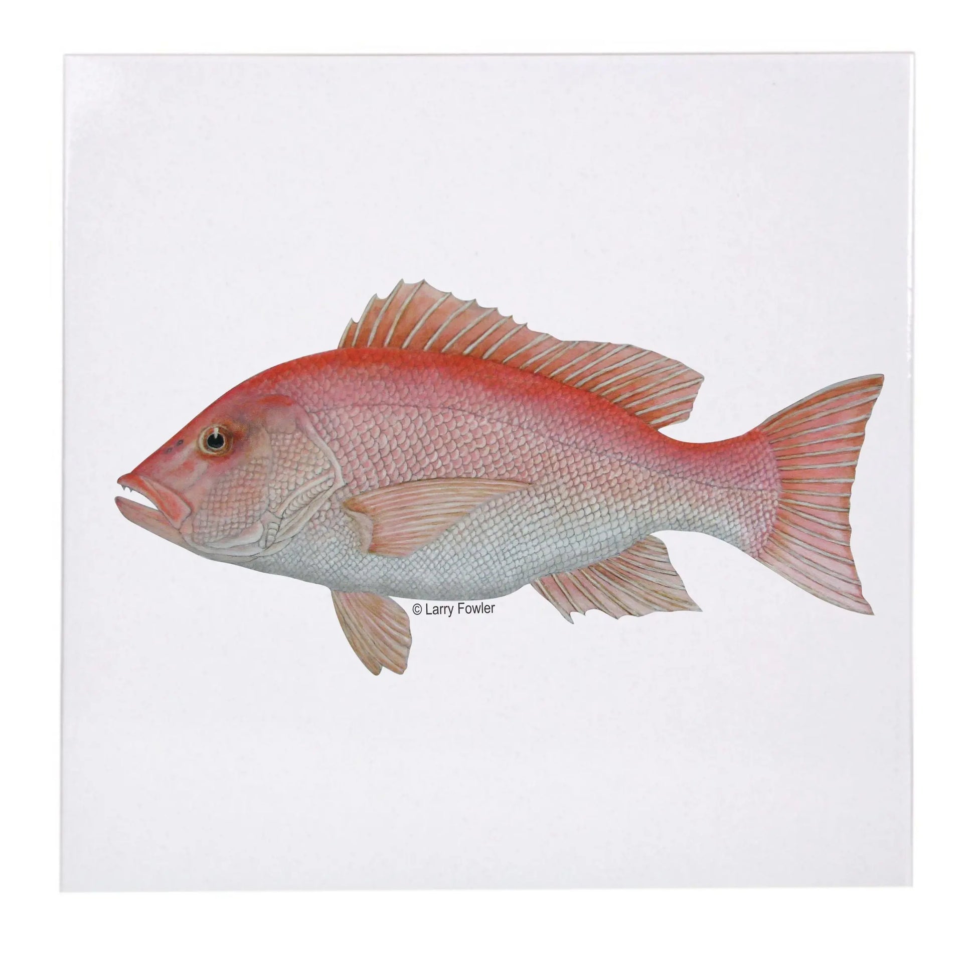 Sport Fish Trivet, 6" Faust Heirlooms