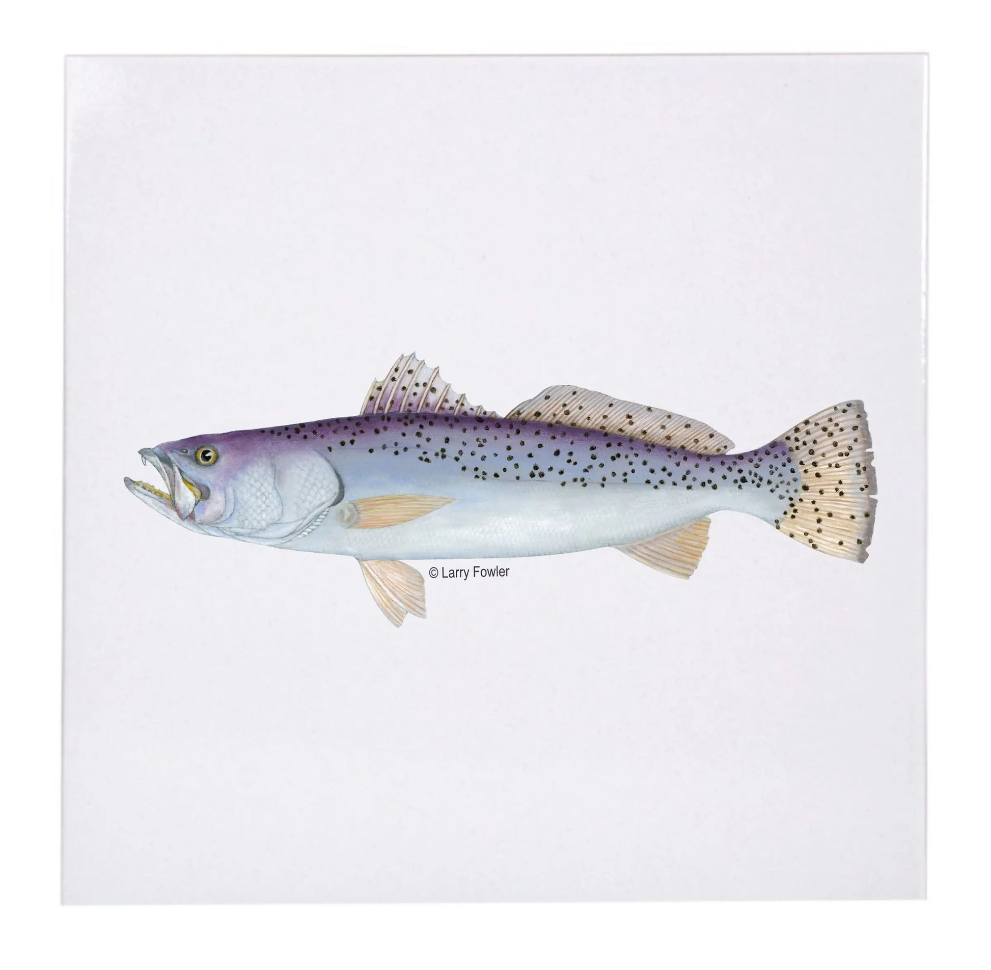 Sport Fish Trivet, 6" Faust Heirlooms