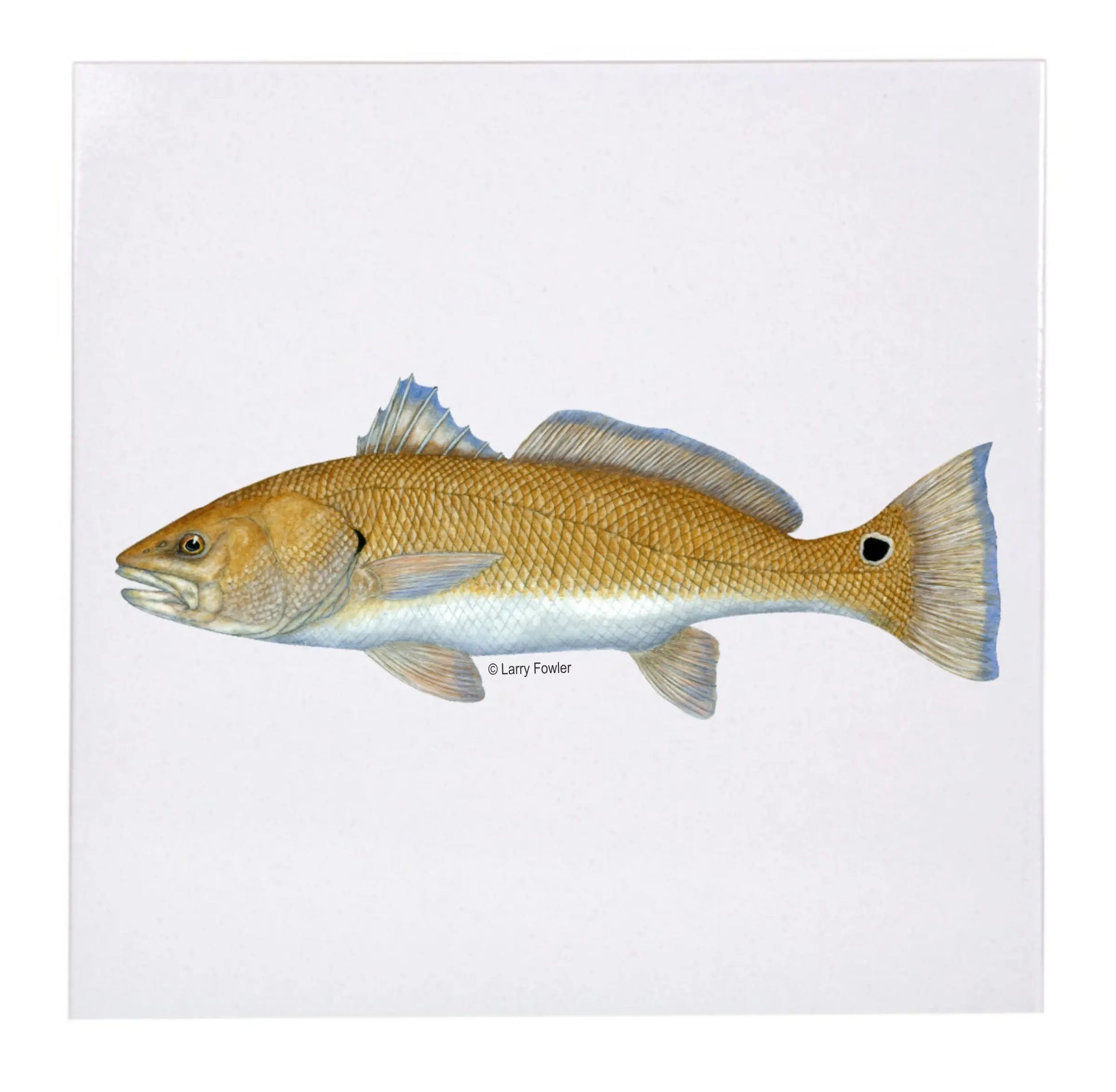 Sport Fish Trivet, 6" Faust Heirlooms