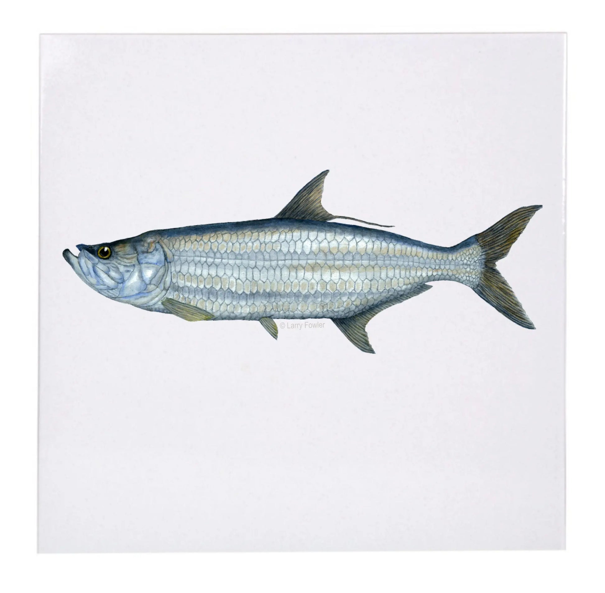 Sport Fish Trivet, 6" Faust Heirlooms