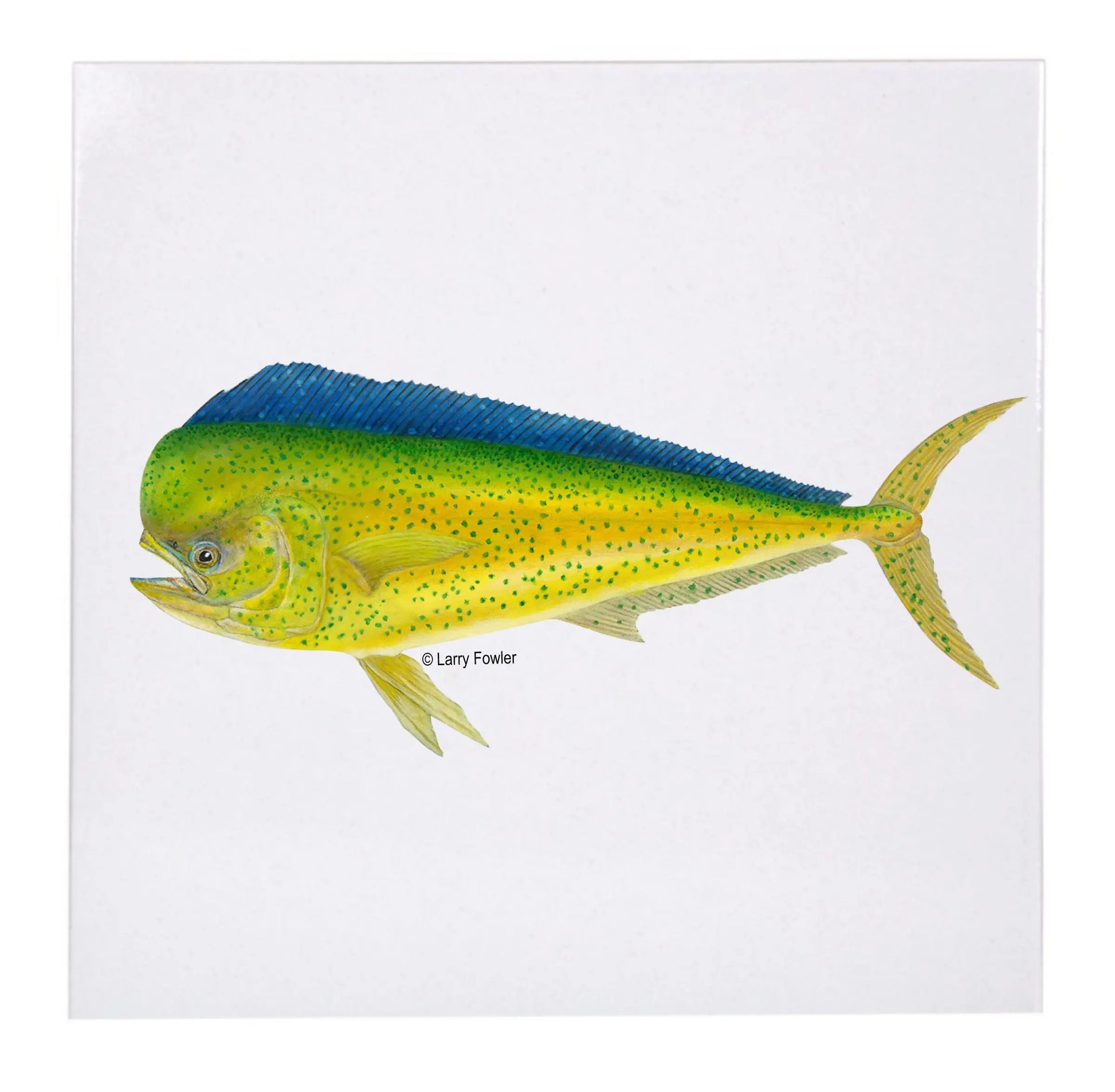 Sport Fish Trivet, 6" Faust Heirlooms