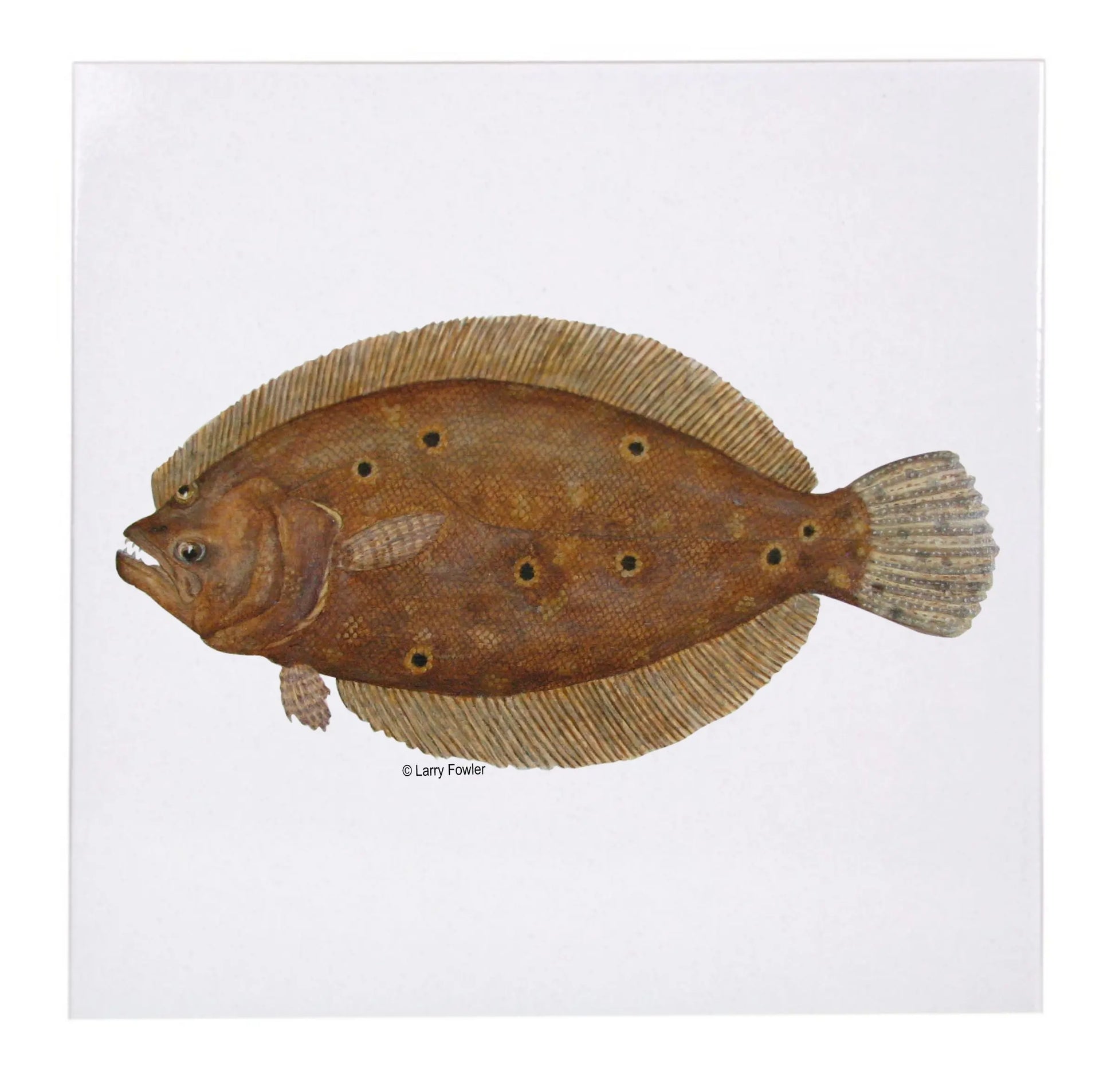 Sport Fish Trivet, 6" Faust Heirlooms