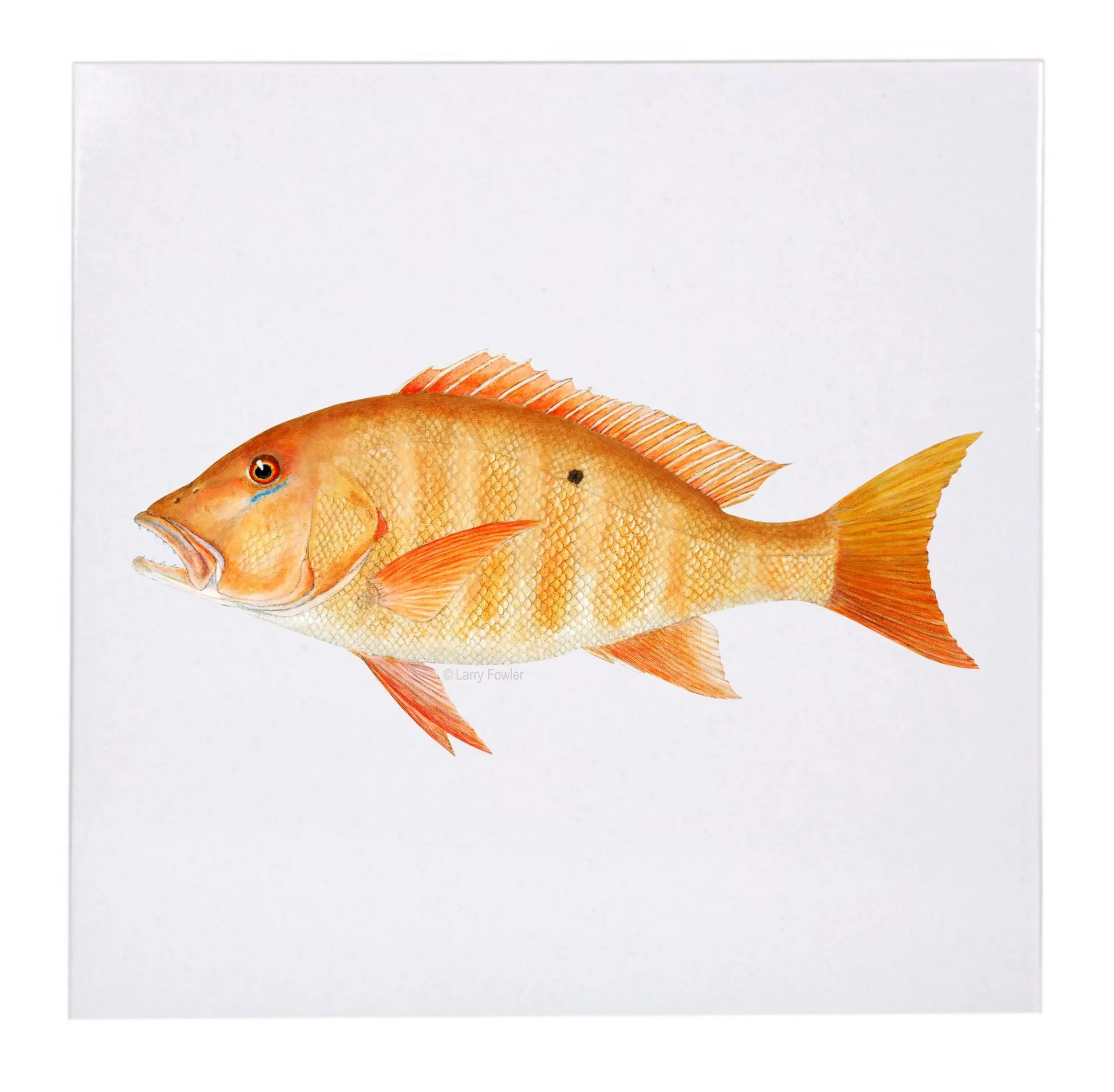 Sport Fish Trivet, 6" Faust Heirlooms