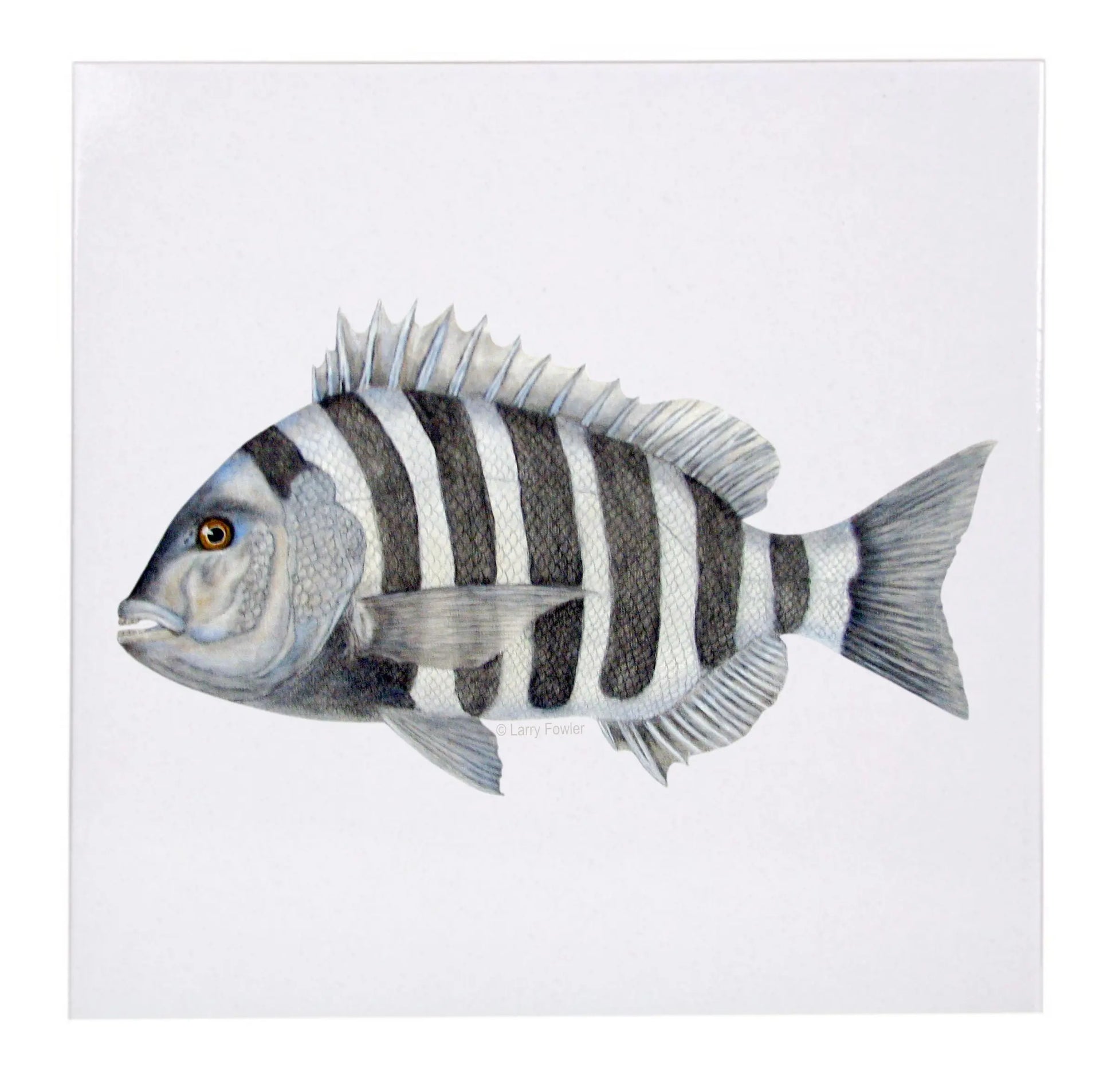 Sport Fish Trivet, 6" Faust Heirlooms
