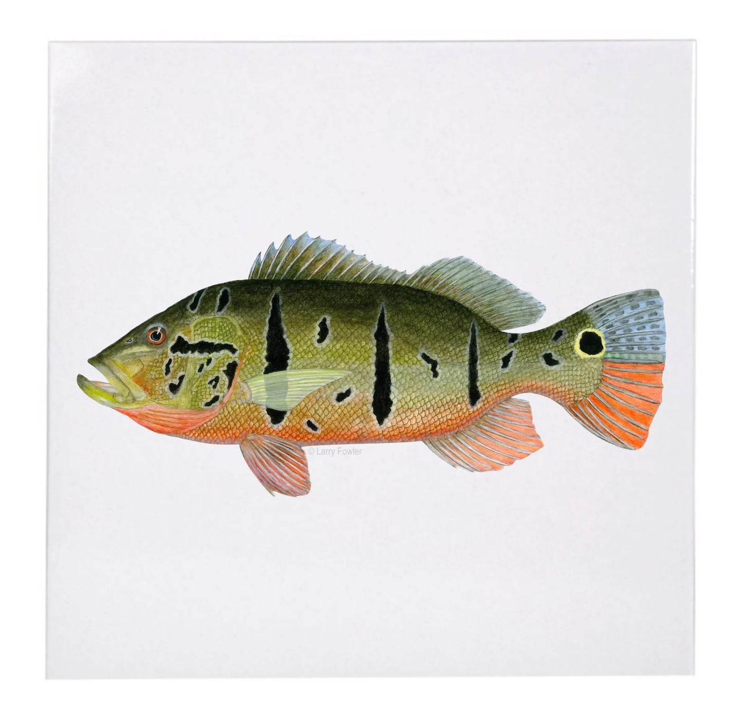 Sport Fish Trivet, 6" Faust Heirlooms