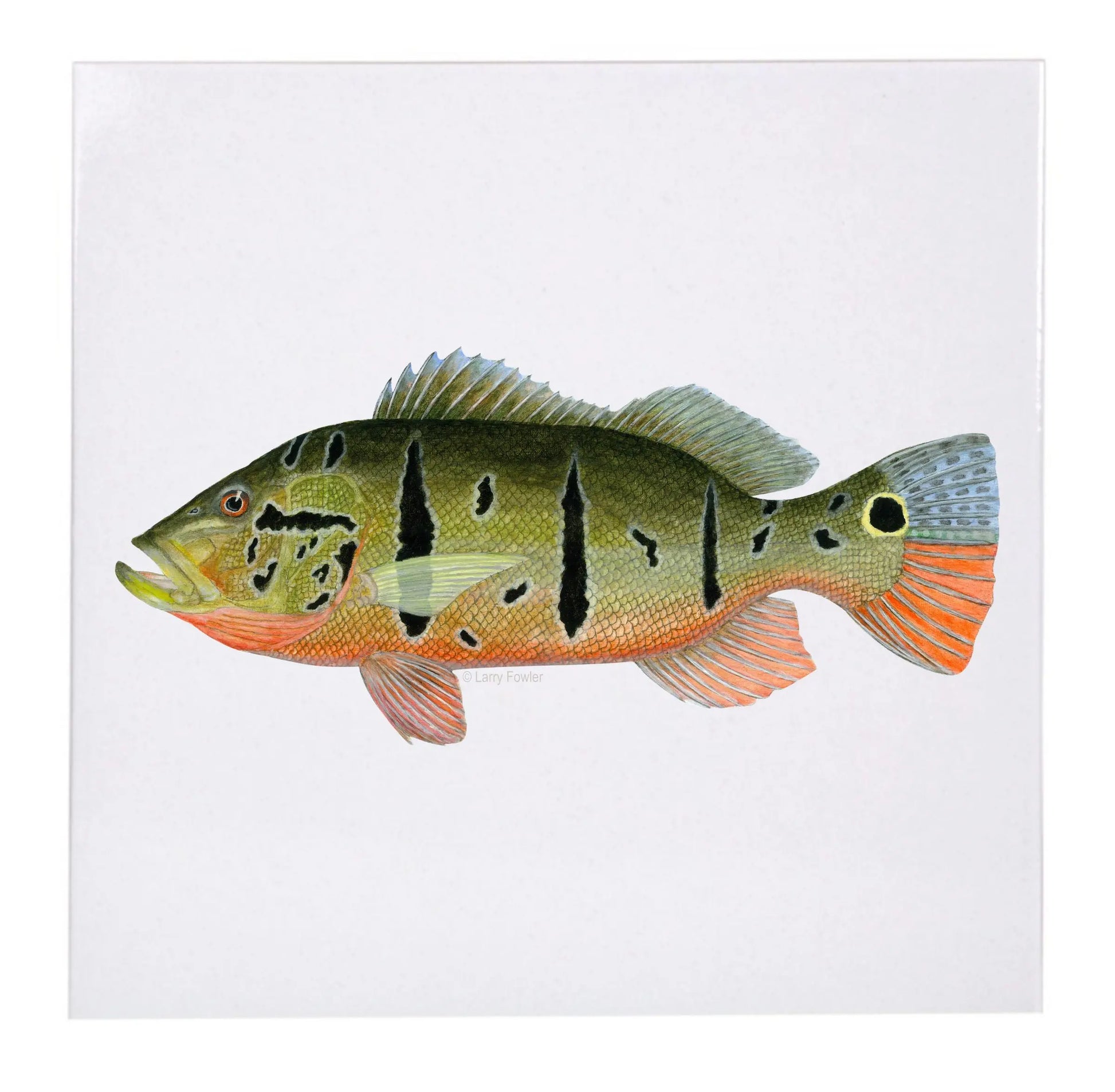Sport Fish Trivet, 6" Faust Heirlooms