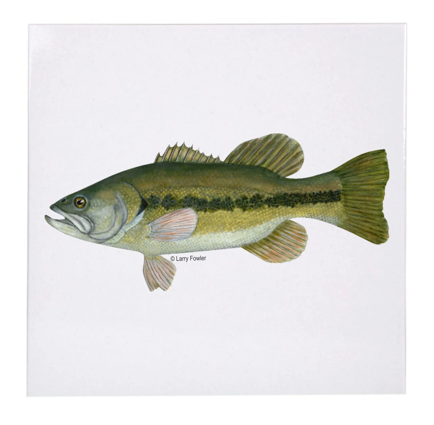 Sport Fish Trivet, 6" Faust Heirlooms