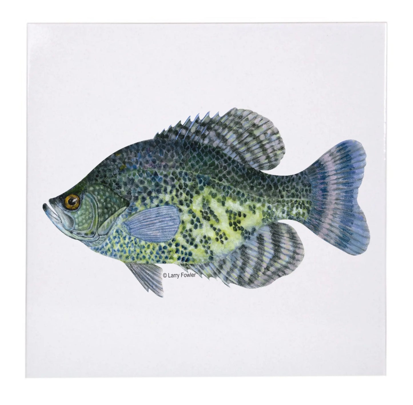 Sport Fish Trivet, 6" Faust Heirlooms