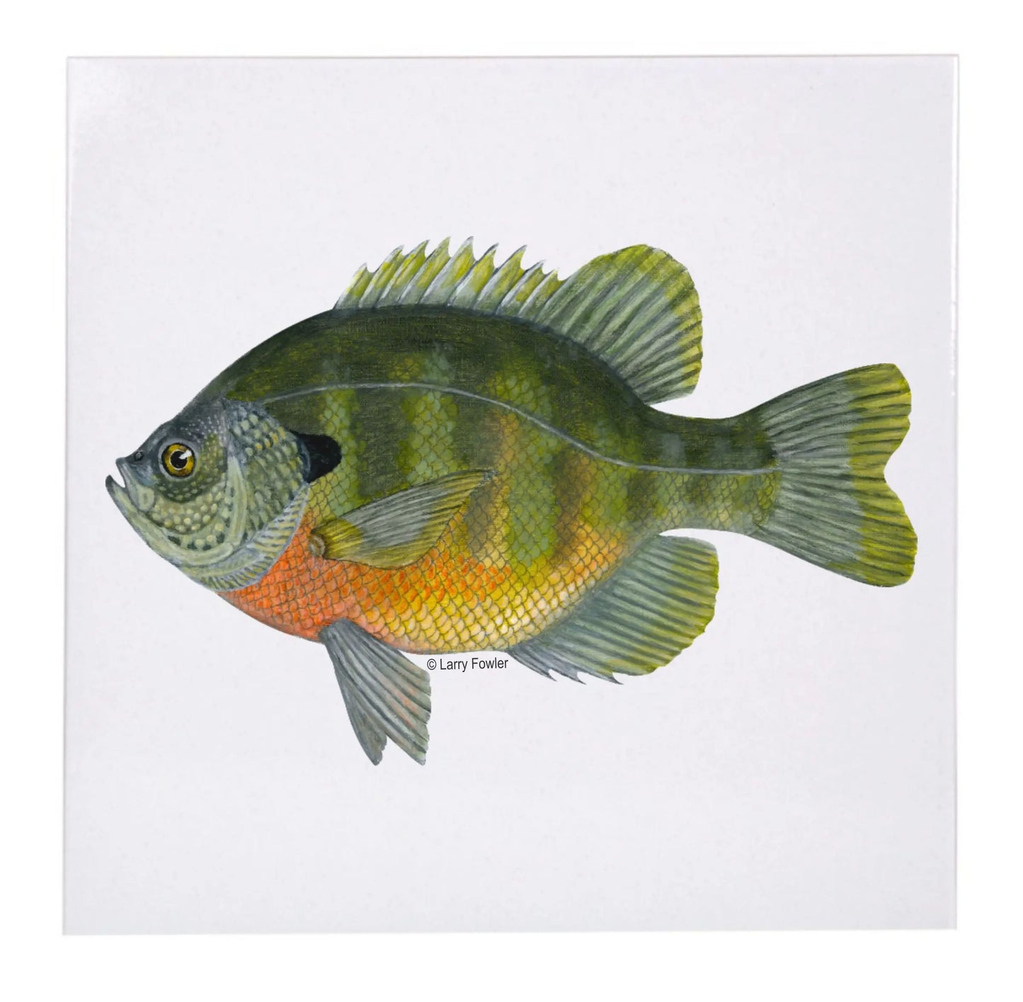 Sport Fish Trivet, 6" Faust Heirlooms