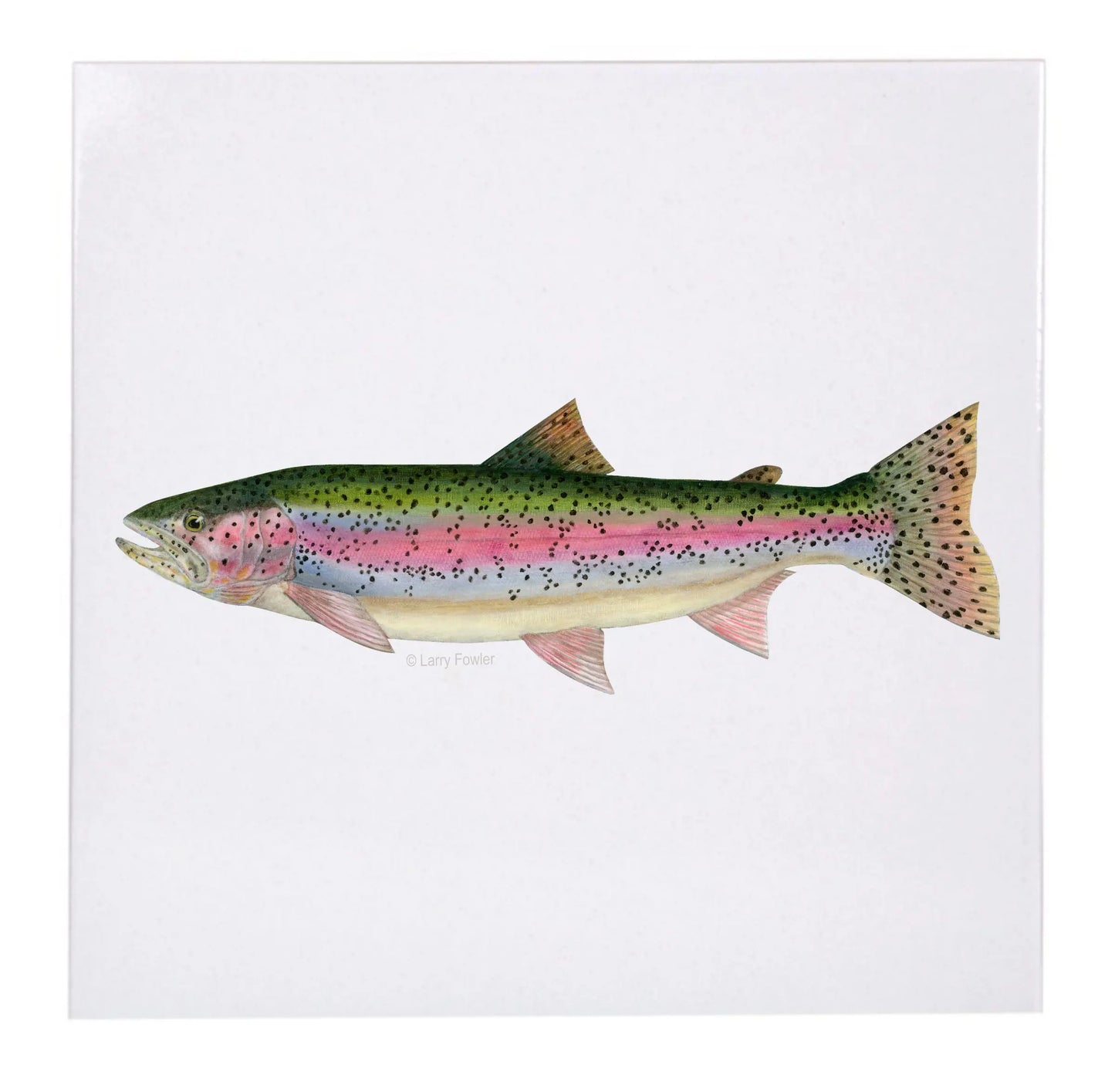 Sport Fish Trivet, 6" Faust Heirlooms