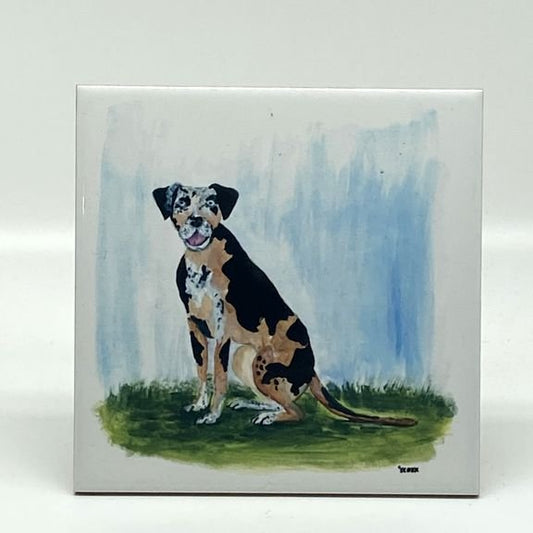 Catahoula Hound Square Trivet, 6"